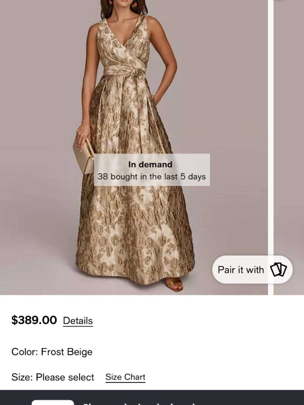 Donna Karan Frost Beige Brocade V-Neck Wedding Gown